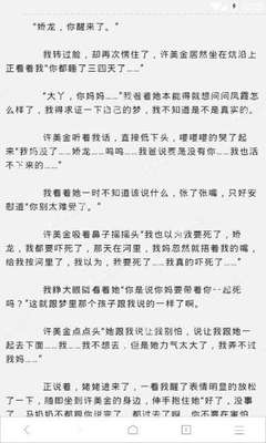 爱游戏是资助罗马